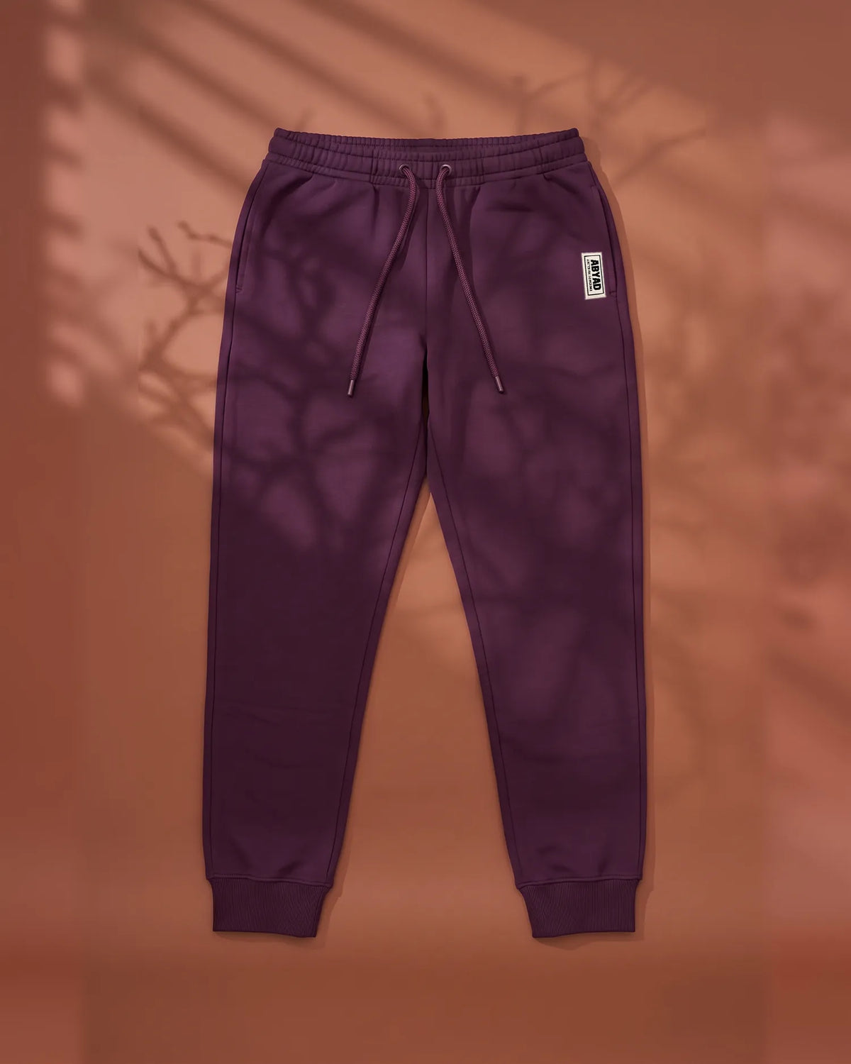 Hoodie with Cuffed Joggers